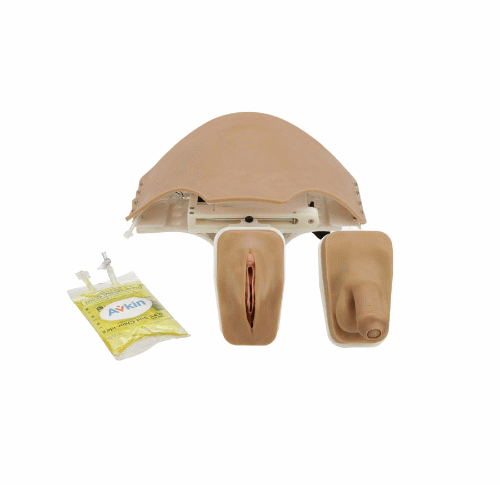Simulated Catheterization Device