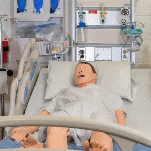 MANIKINS LIMIT THE POTENTIAL FOR REALISTIC INTERACTIONS THAT A STUDENT CAN HAVE WITH THEIR PATIENT DURING A SIMULATION EXPERIENCE