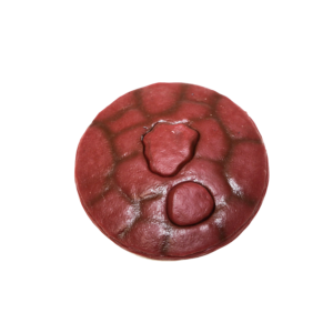 Simulated Placenta